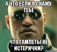 а что если я скажу тебе что гамлеты не истерички?