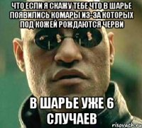 что если я скажу тебе что в шарье появились комары из-за которых под кожей рождаются черви в шарье уже 6 случаев