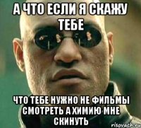 а что если я скажу тебе что тебе нужно не фильмы смотреть а химию мне скинуть