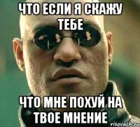 что если я скажу тебе что мне похуй на твое мнение