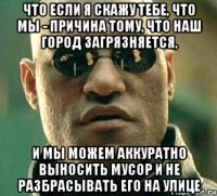 что если я скажу тебе, что мы - причина тому, что наш город загрязняется, и мы можем аккуратно выносить мусор и не разбрасывать его на улице