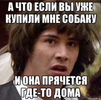 а что если вы уже купили мне собаку и она прячется где-то дома