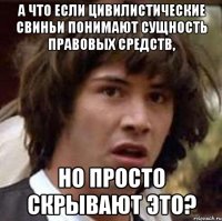 а что если цивилистические свиньи понимают сущность правовых средств, но просто скрывают это?