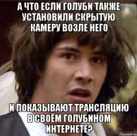 а что если голуби также установили скрытую камеру возле него и показывают трансляцию в своём голубином интернете?