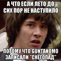 а что если лето до сих пор не наступило потому что guntanomo записали "снегопад"