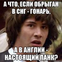 а что, если обрыган в снг - гонарь, а в англии - настоящий панк?