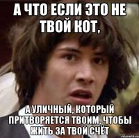 а что если это не твой кот, а уличный, который притворяется твоим, чтобы жить за твой счёт