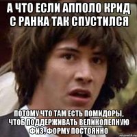 а что если апполо крид с ранка так спустился потому что там есть помидоры, чтоб поддерживать великолепную физ. форму постоянно