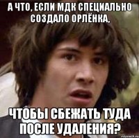 а что, если мдк специально создало орлёнка, чтобы сбежать туда после удаления?