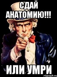 сдай анатомию!!! или умри