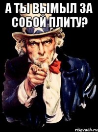 а ты вымыл за собой плиту? 