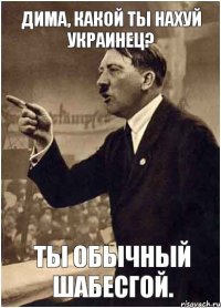 Дима, какой ты нахуй украинец? Ты обычный шабесгой.