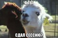 а ты сдал сессию?