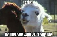 а ты написала диссертацию?
