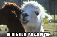  опять не спал до утра?