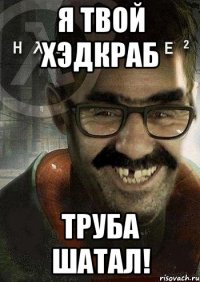 я твой хэдкраб труба шатал!