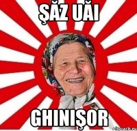 şăz uăi ghinişor