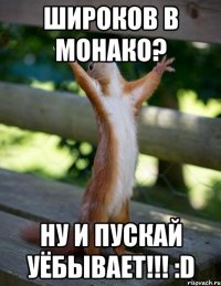 широков в монако? ну и пускай уёбывает!!! :d