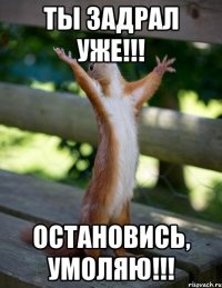 ты задрал уже!!! остановись, умоляю!!!