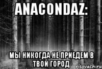 anacondaz: мы никогда не приедем в твой город