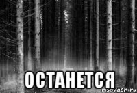  останется