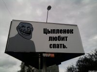 Цыпленок любит спать.