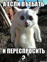 а если въебать и переспросить ?
