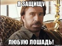 я защищу любую лошадь!