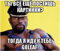 ты всё ещё постишь картинки? тогда я иду к тебе, goleaf!