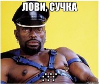 лови, сучка :*:*:*