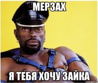 мерзах я тебя хочу зайка
