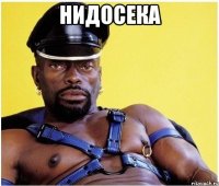 нидосека 