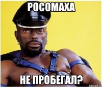 росомаха не пробегал?