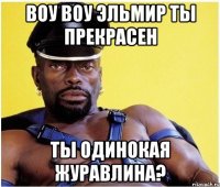 воу воу эльмир ты прекрасен ты одинокая журавлина?