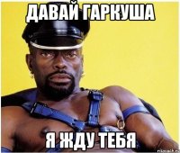 давай гаркуша я жду тебя
