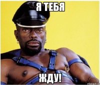 я тебя жду!