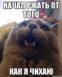 начал ржать от того как я чихаю