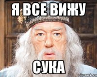 я все вижу сука