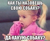 как ты назовешь свою собаку? да какую собаку?