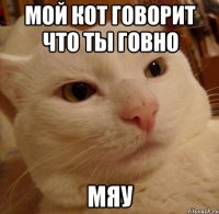 мой кот говорит что ты говно мяу