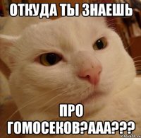 откуда ты знаешь про гомосеков?ааа???