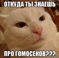 откуда ты знаешь про гомосеков???