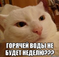  горячей воды не будет неделю???