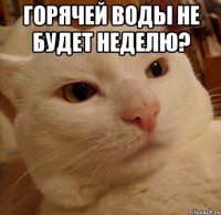 горячей воды не будет неделю? 