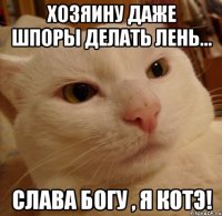 хозяину даже шпоры делать лень... слава богу , я котэ!