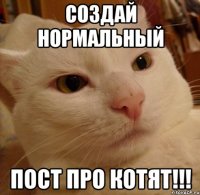 создай нормальный пост про котят!!!