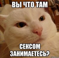 вы что там сексом занимаетесь?