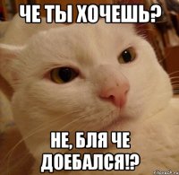 че ты хочешь? не, бля че доебался!?