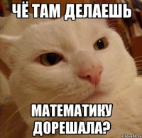 чё там делаешь математику дорешала?