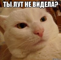 ты лут не видела? 